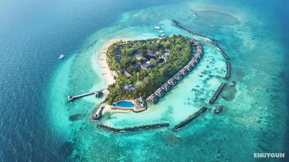 Taj Coral Reef Resort & Spa Maldives – A Premium All Inclusive Resort - Öne Çıkan Resim