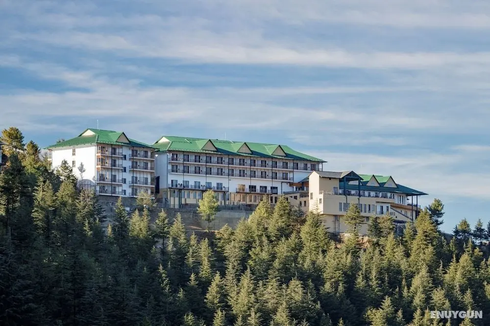 Taj Theog Resort & Spa, Shimla - Dış Mekan