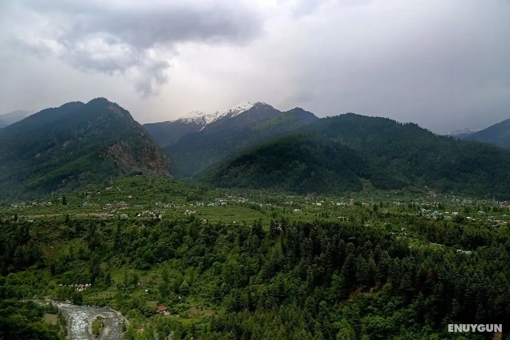 Tall Trees Resort Manali - Dış Mekan