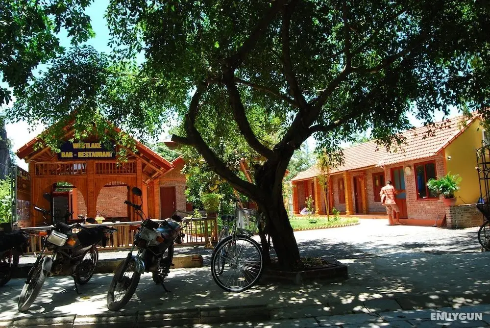 Tam Coc Westlake Homestay - Hostel - Öne Çıkan Resim