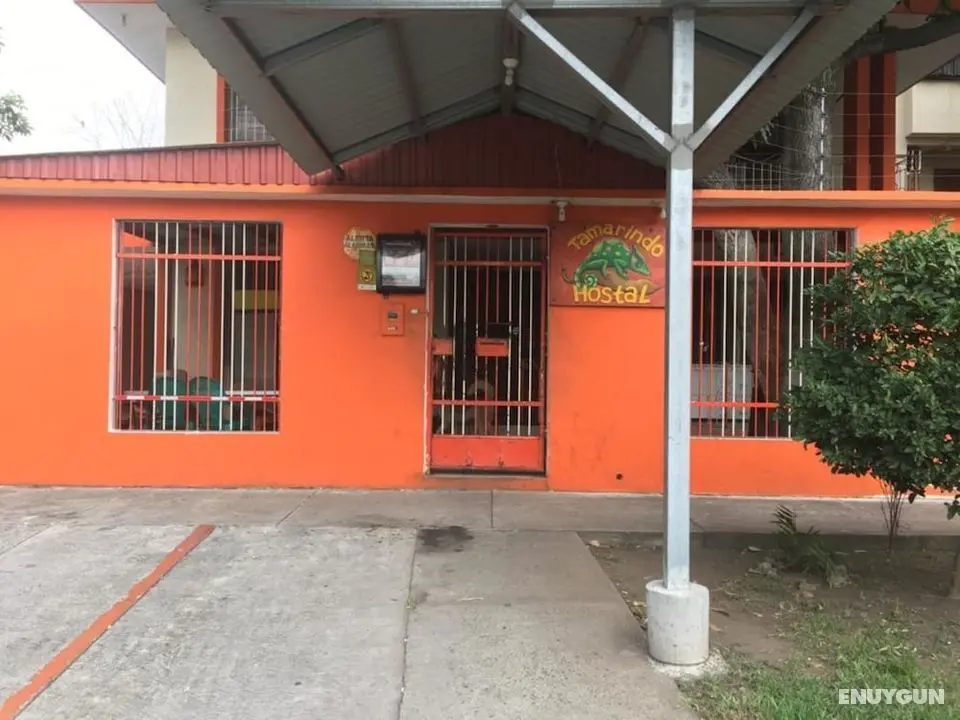 Tamarindo hostel - Dış Mekan