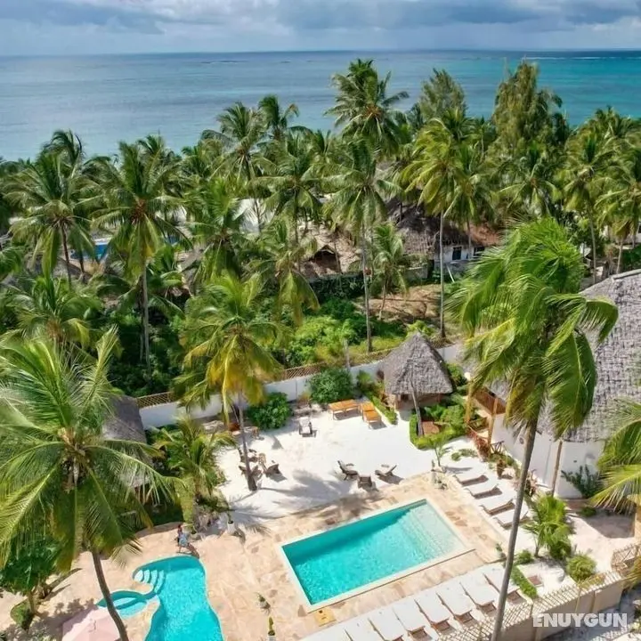 Tamu Tamu Boutique Hotel - Havuz