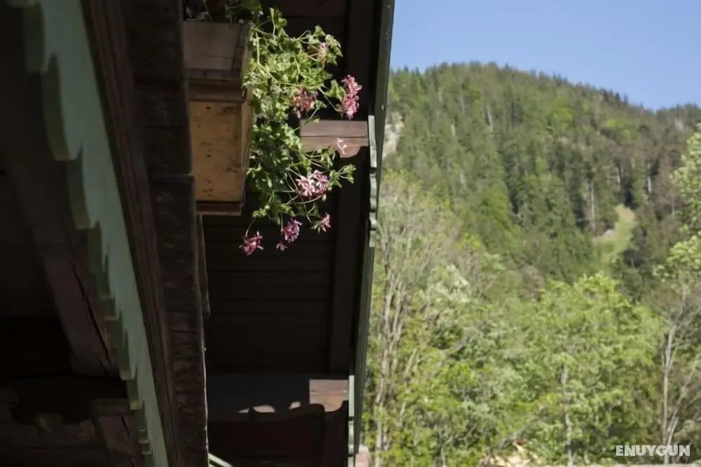 Tannerhof Naturhotel & Gesundheitsresort - Dış Mekan