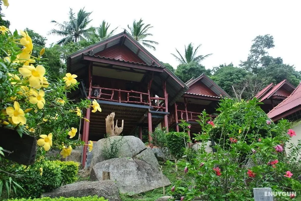 Tanouy Garden - Öne Çıkan Resim
