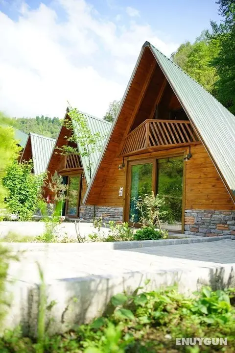 Tanura Bungalows - Öne Çıkan Resim