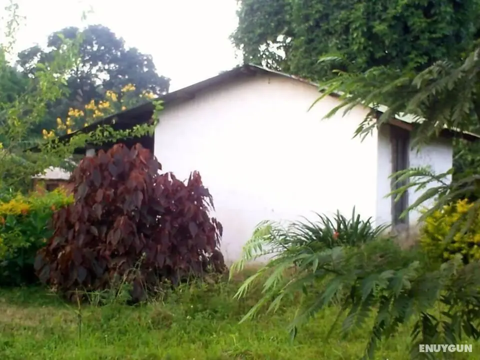 Tanzania Eco Home - Öne Çıkan Resim