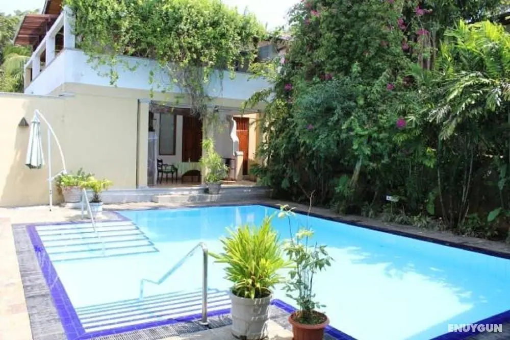 Villa Tara - Öne Çıkan Resim