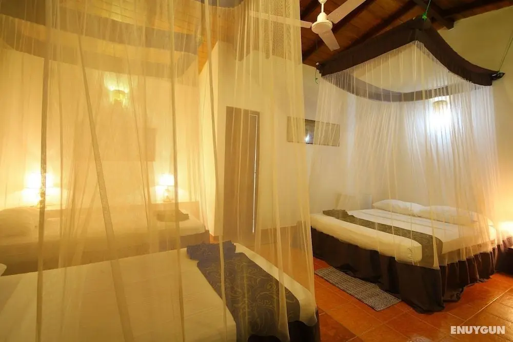 Tartaruga Hotel - Öne Çıkan Resim