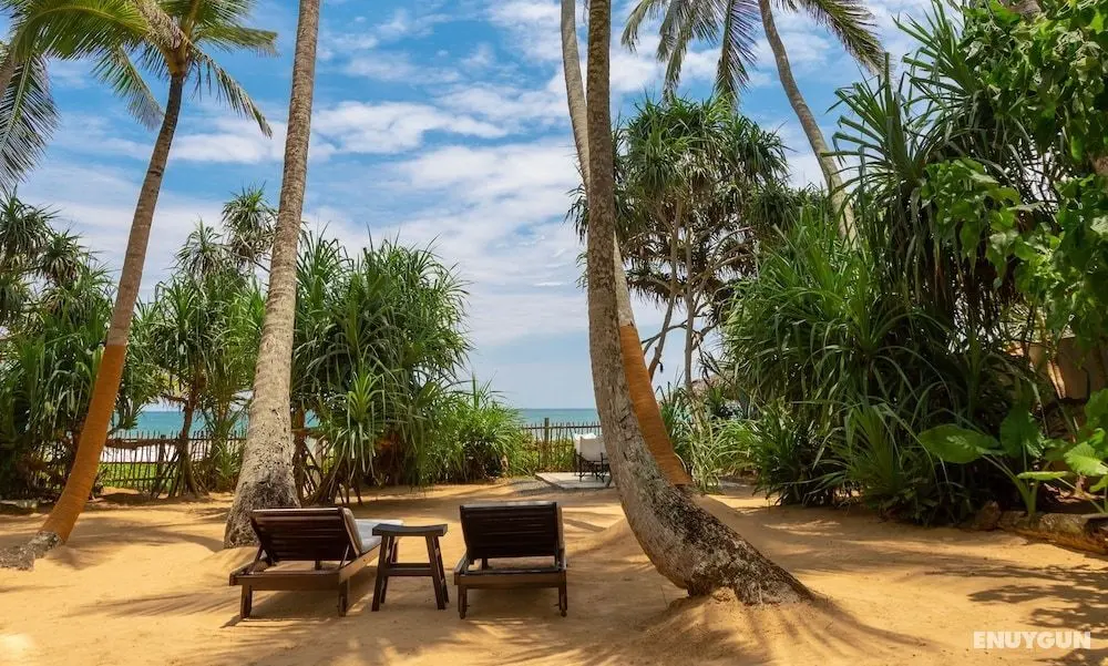 Taru Villas - 906 - Hikkaduwa - Plaj