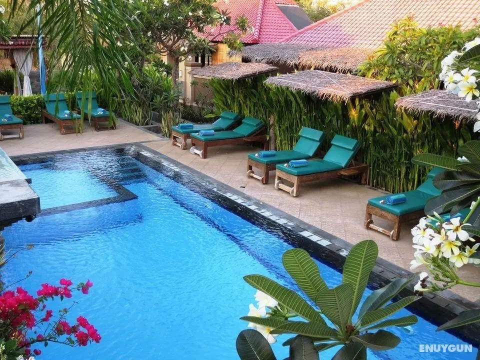 Taruna Boutique Homestay & Spa - Genel