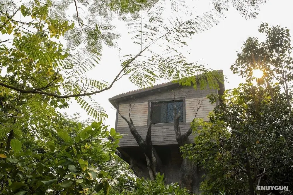 Tathastu Pench - Luxury Wildlife Resort - Oda