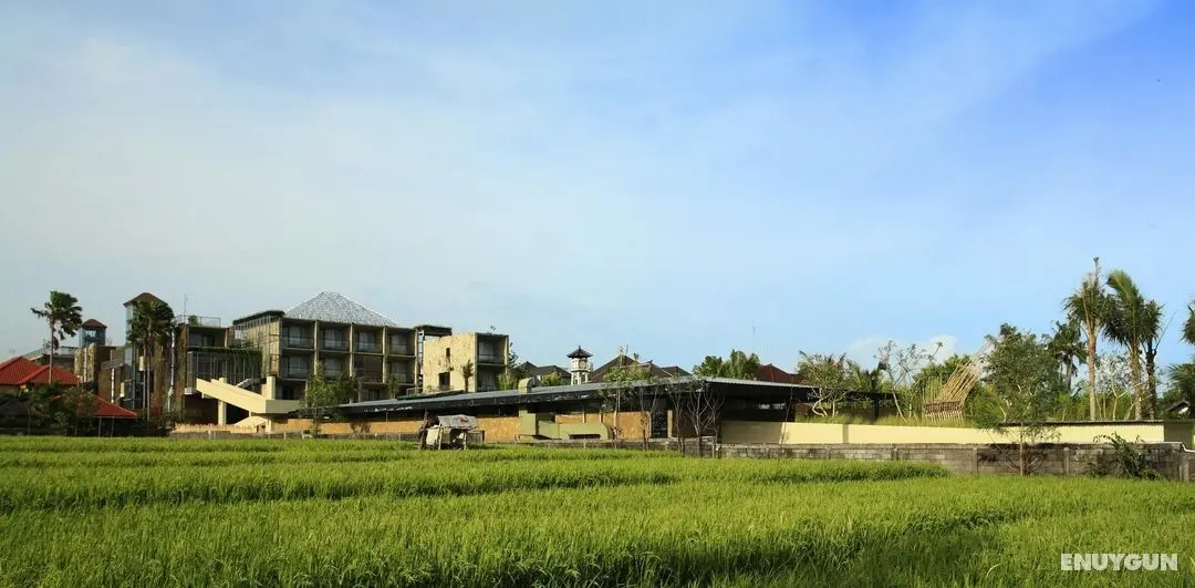 Taum Resort Bali - Genel