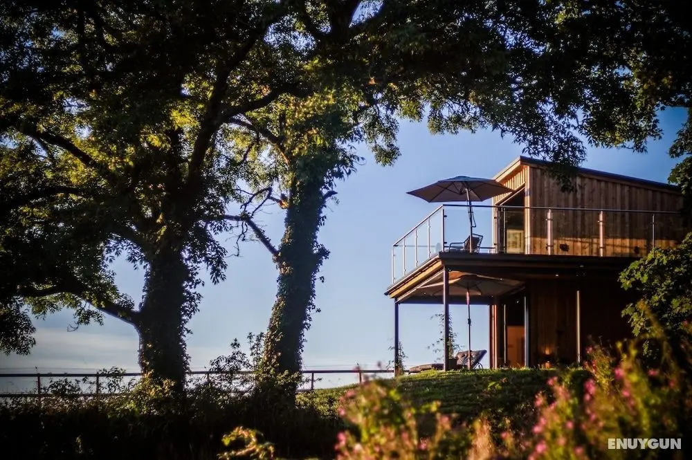 Tawny Lodge - 1 Bedroom - Blossom Farm - Öne Çıkan Resim