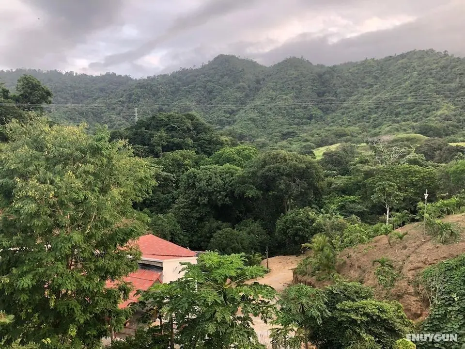 Tayrona Angel Lodge - Dış Mekan