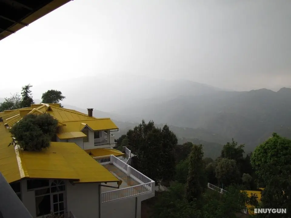 Te Aroha Dhanachuli - Öne Çıkan Resim