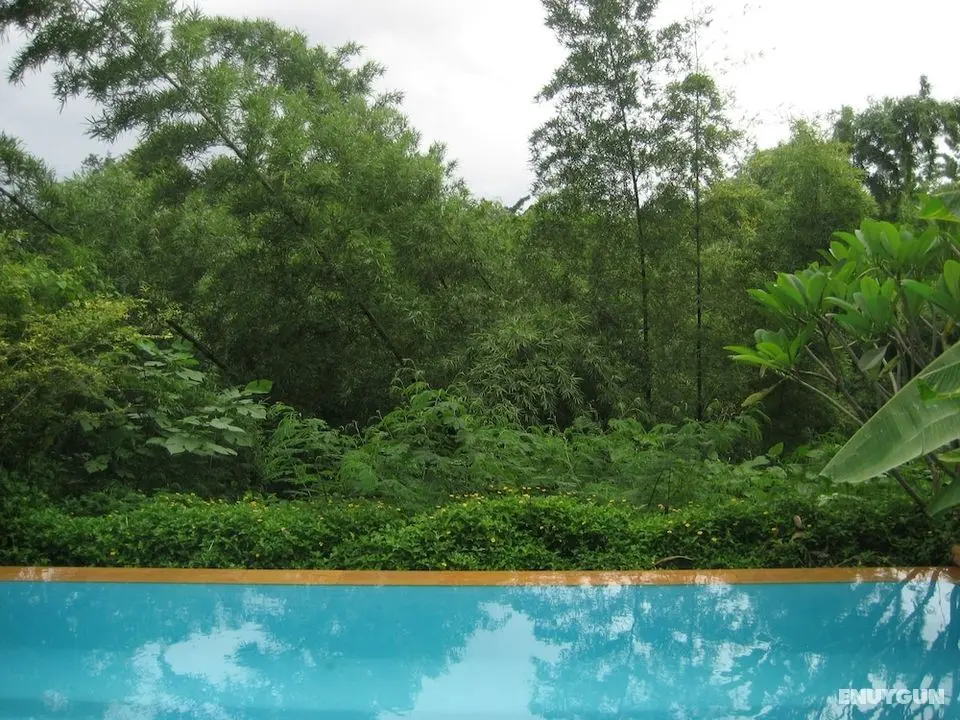 Teakwood Villa - Havuz