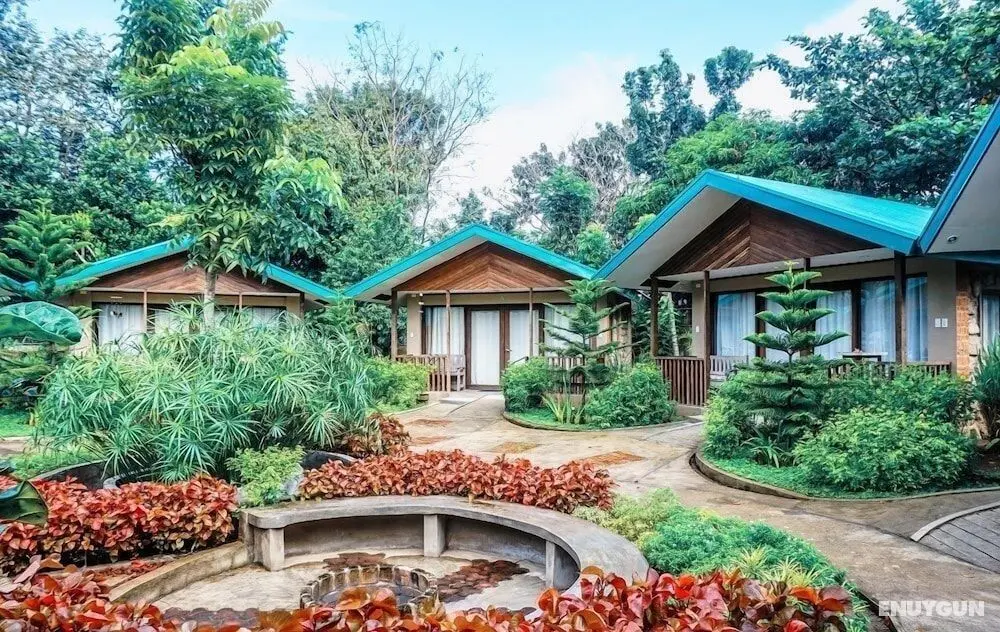 Ted's Bed and Breakfast - Öne Çıkan Resim