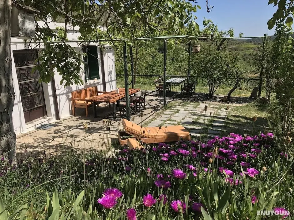 Temenia House - Öne Çıkan Resim