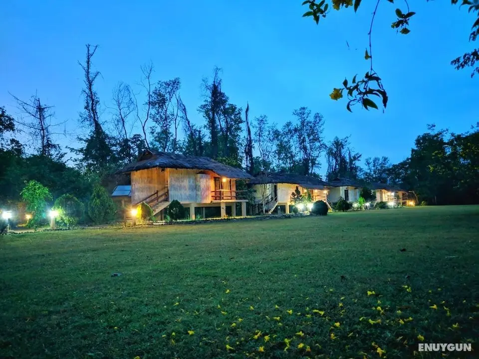 Temple Tiger Green Jungle Resort - Oda Manzaraları