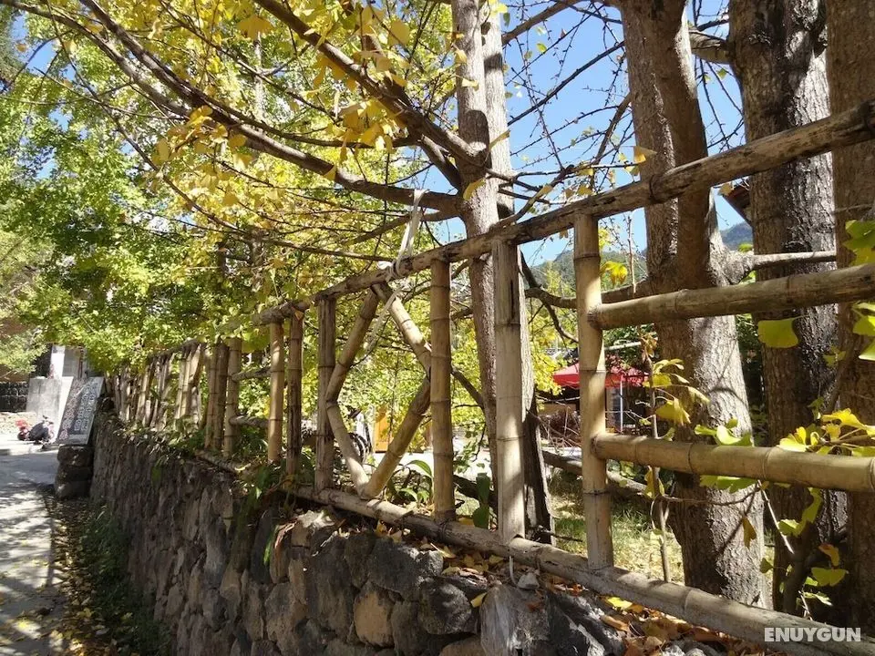 Tengchong Ginkgo Village Bencai Hotel - Öne Çıkan Resim