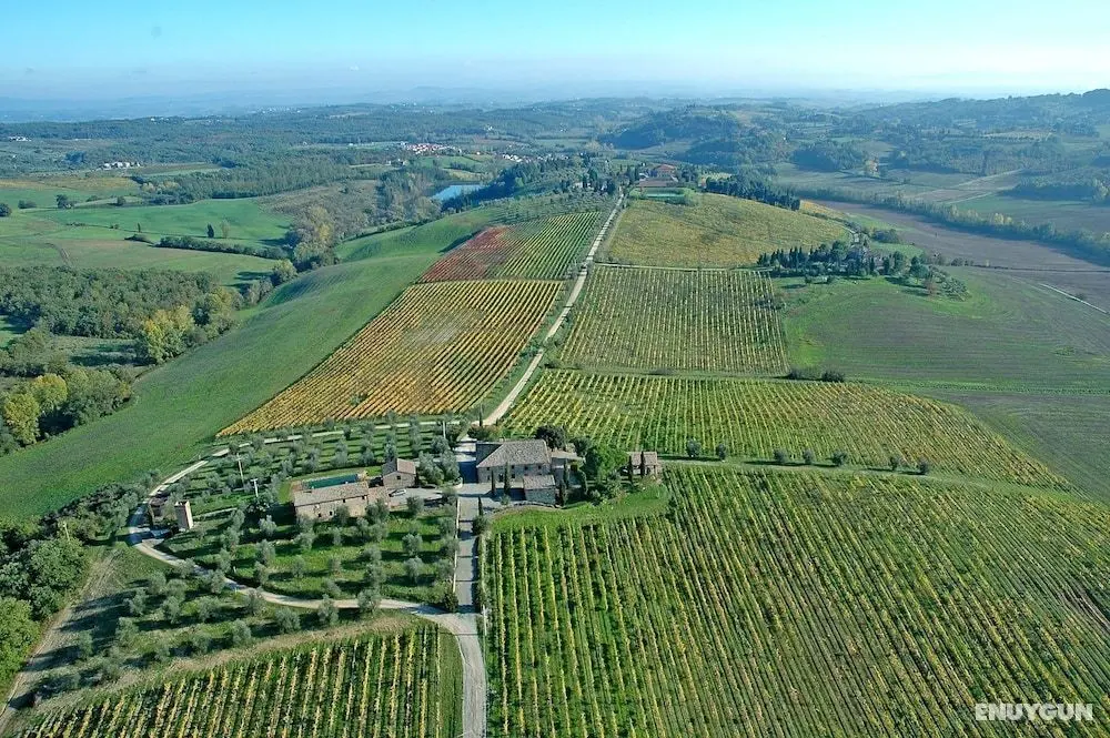 Tenuta di Monaciano - Öne Çıkan Resim