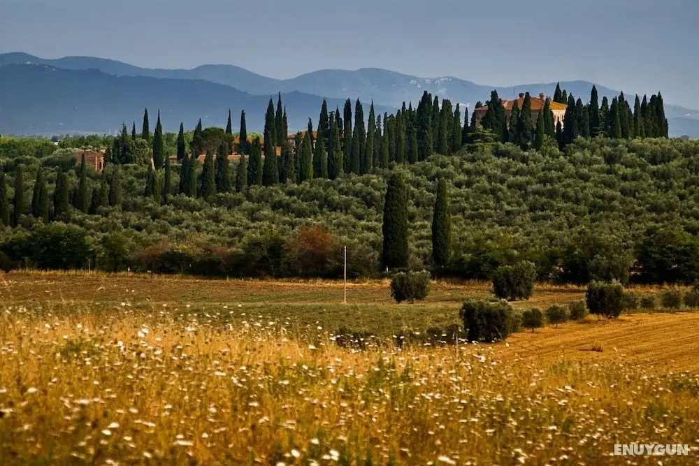 Tenuta di Poggio Cavallo - Öne Çıkan Resim