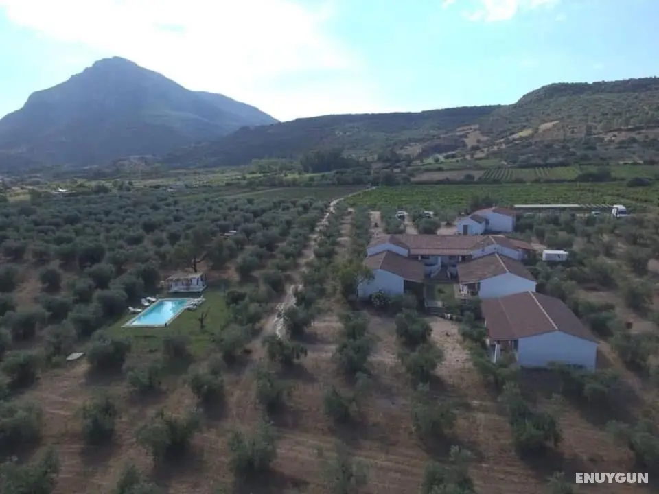 Tenuta Don Ballore - Öne Çıkan Resim