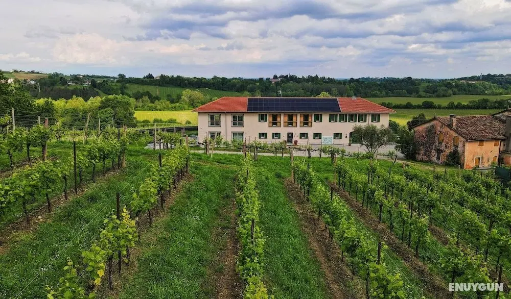 Tenuta Mani Sagge - Öne Çıkan Resim