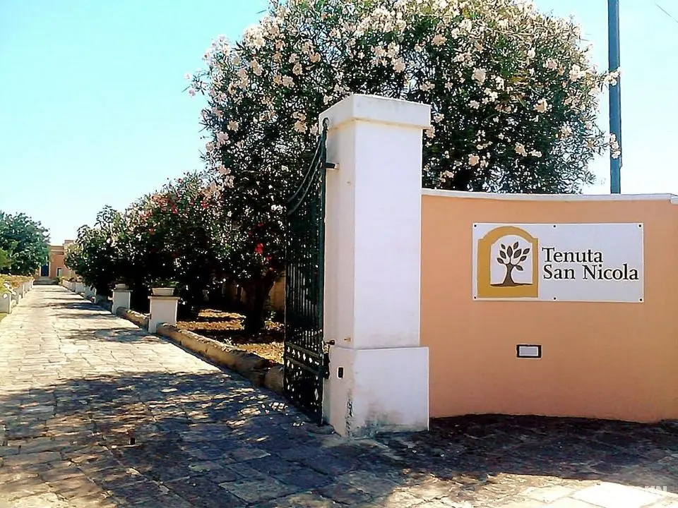 Tenuta San Nicola - Dış Mekan
