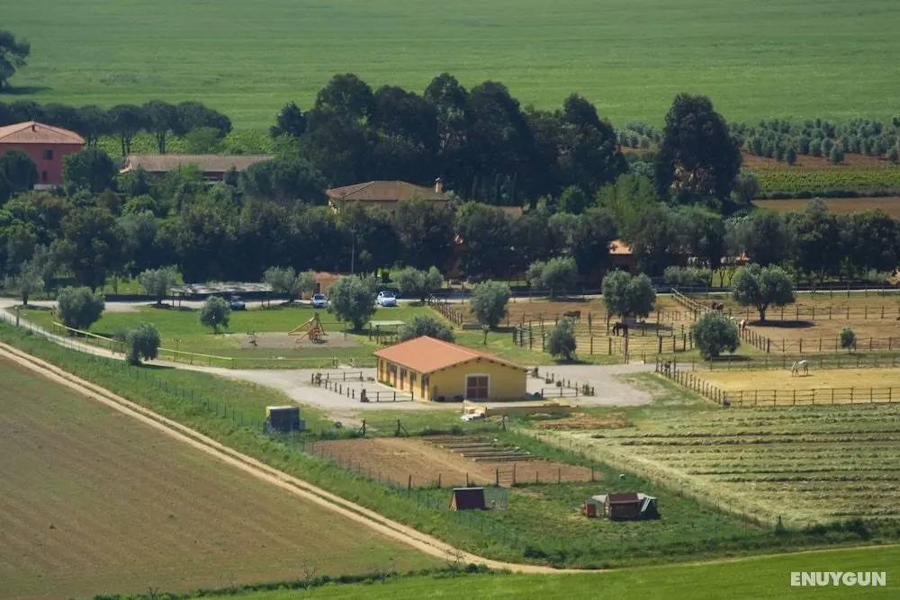 Tenuta Uccellina - Konum Öne Çıkanlar