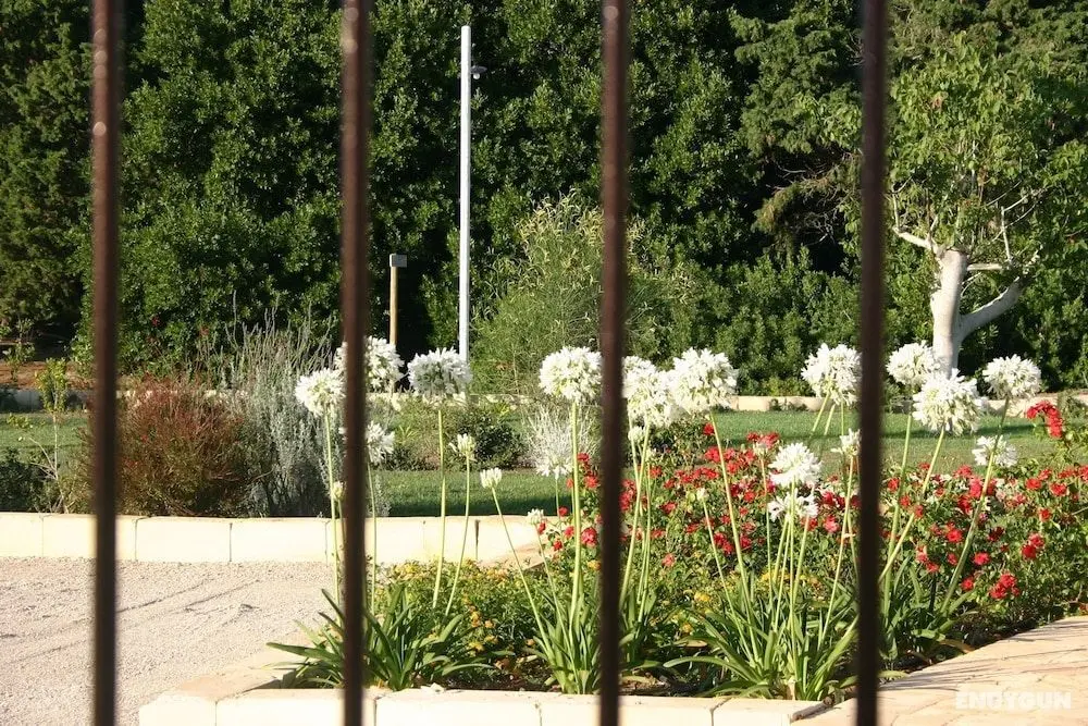 Tenuta Vigna Corallo - Öne Çıkan Resim
