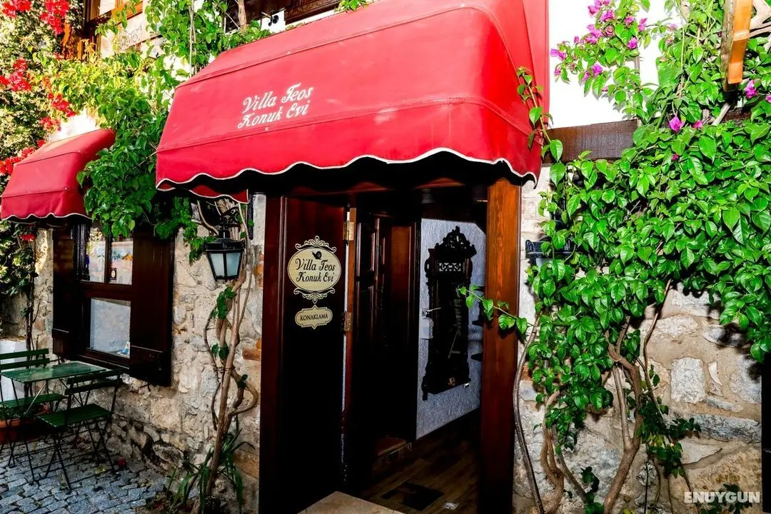 Villa Teos - Dış Mekan