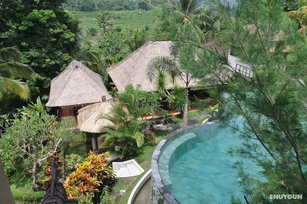 Teras Bali Rice Terrace Bungalows and Spa - Havuz