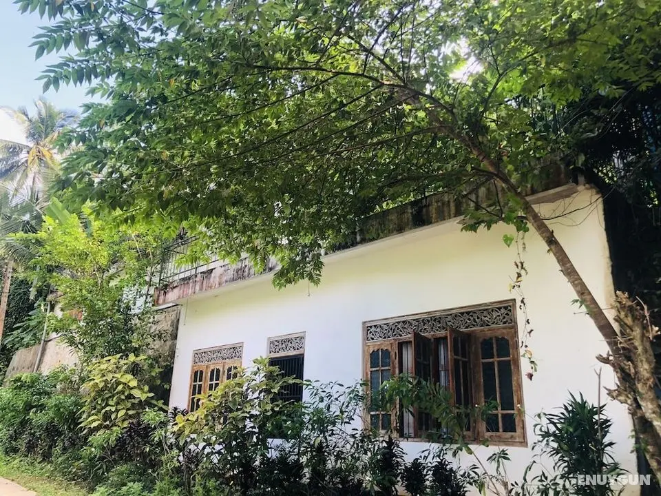 Thaaru Guest - Dış Mekan