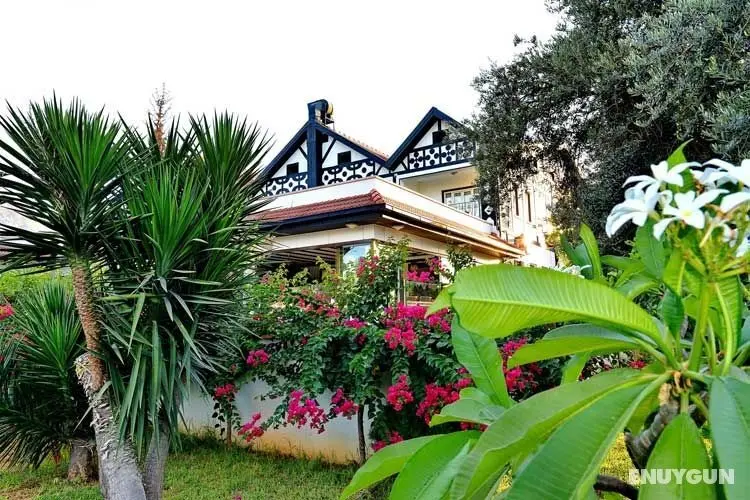 The Ship Inn Hotel - Dış Mekan