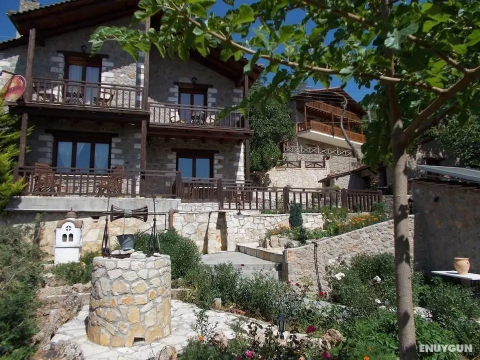 Theasis Guesthouse - Öne Çıkan Resim