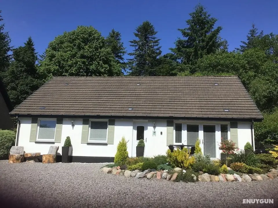Thistle Haugh, the Peaceful House With a hot tub - Öne Çıkan Resim