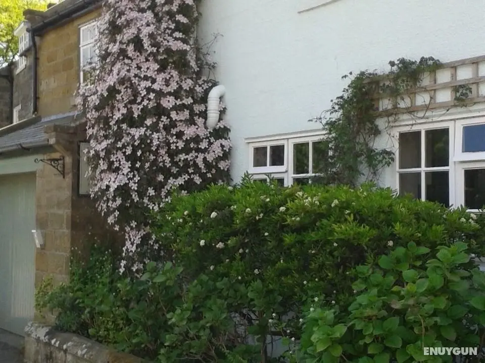 Thorpe Green House Vegetarian Bed and Breakfast - Dış Mekan