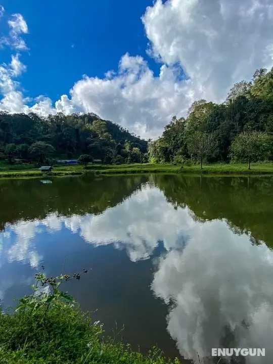 Three Hills Resort & Spa, Coorg - Öne Çıkan Resim
