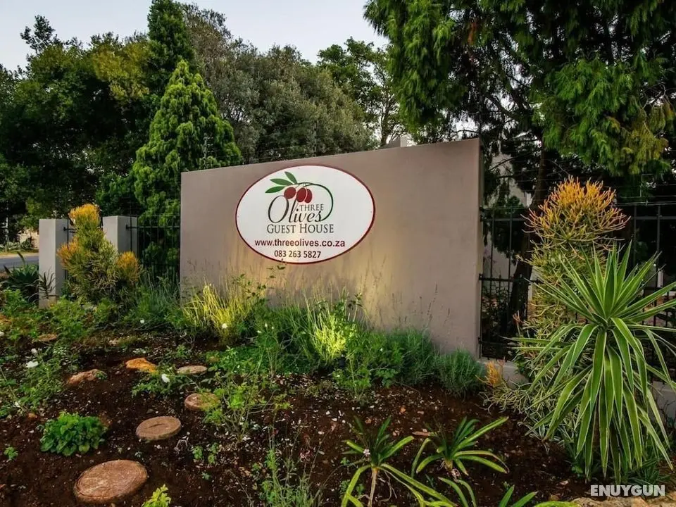 Three Olives Guesthouse - Dış Mekan