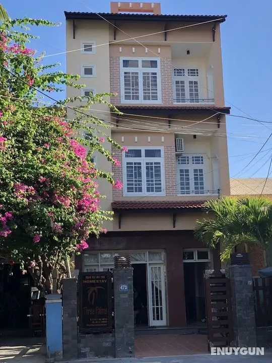 Three Palms Homestay - Öne Çıkan Resim