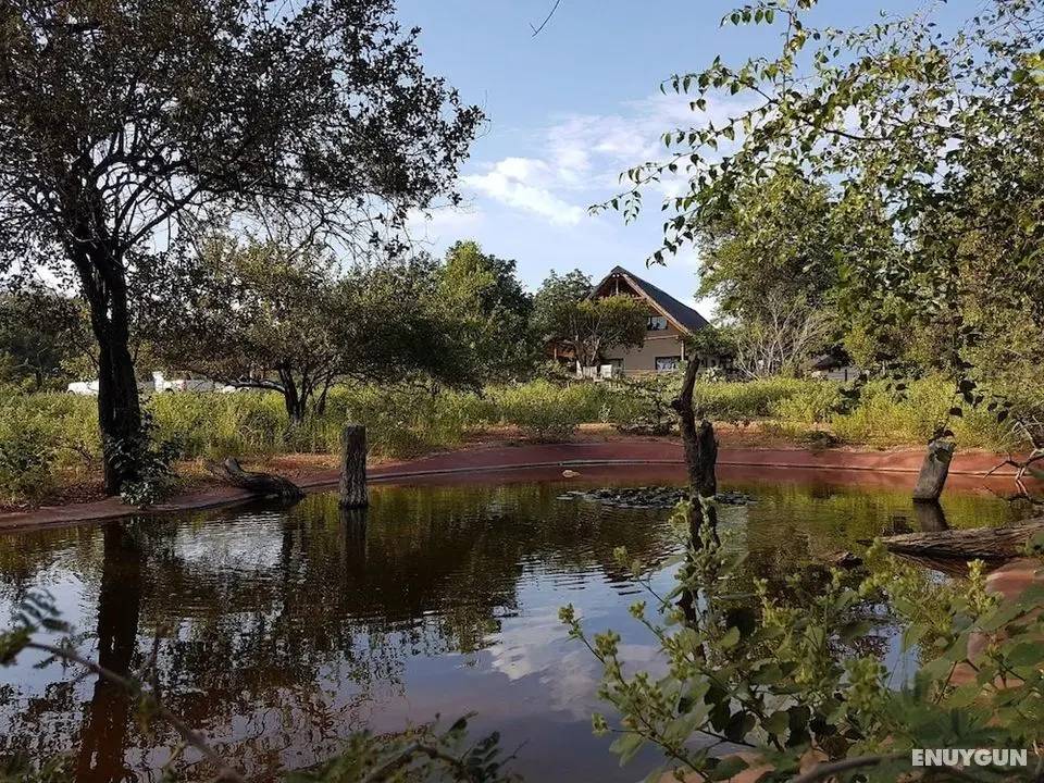 Thula Private Lodge - Öne Çıkan Resim