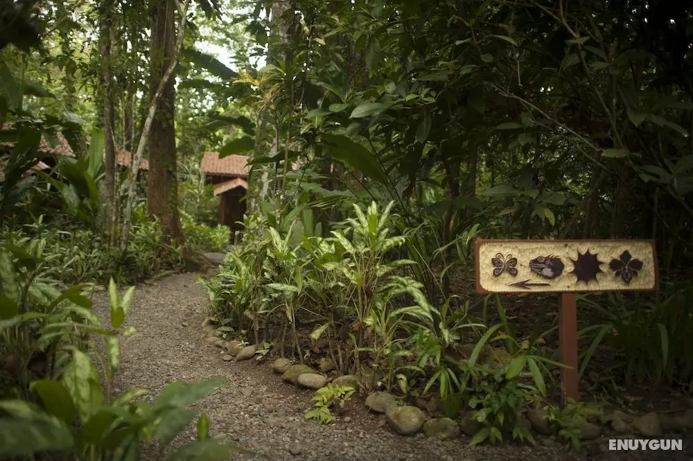 Tierra de Sueños Lodge & Wellness Center - Dış Mekanlar