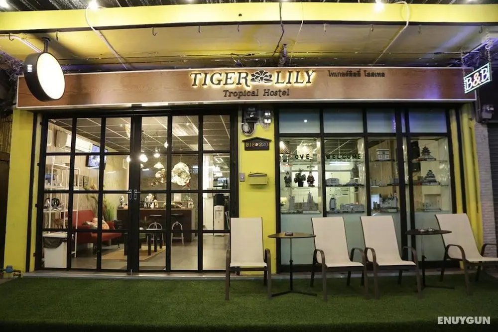 Tiger Lily Hostel - Öne Çıkan Resim