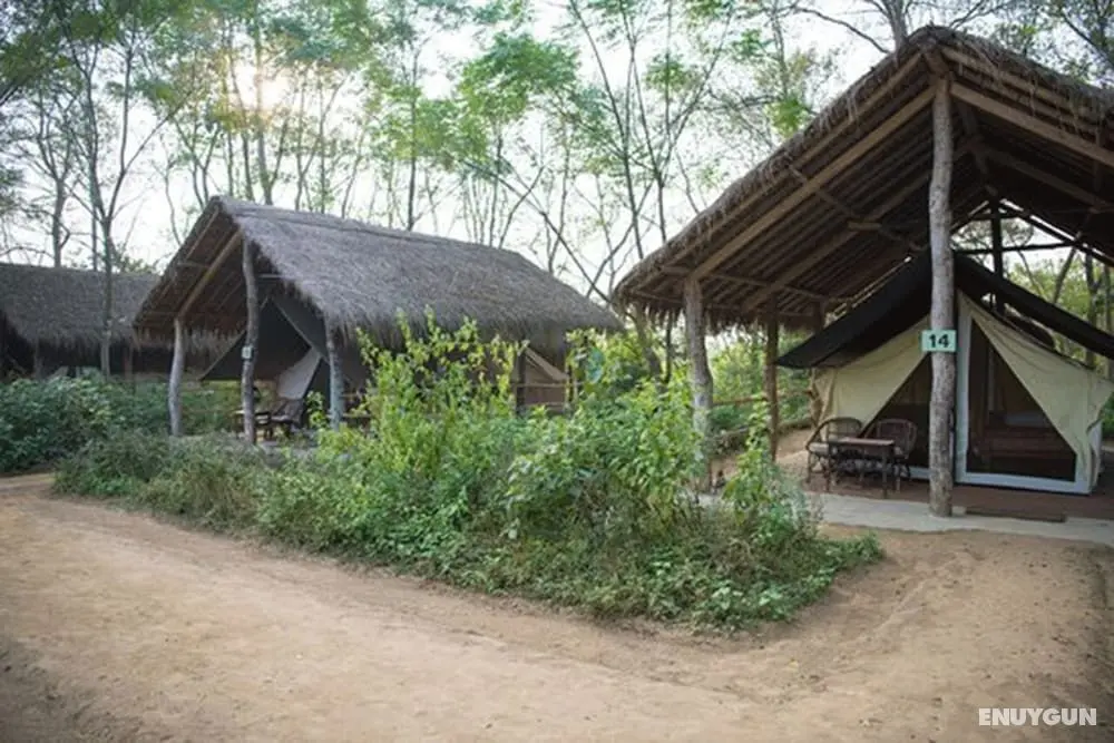 Tigertops Elephant Camp - Öne Çıkan Resim