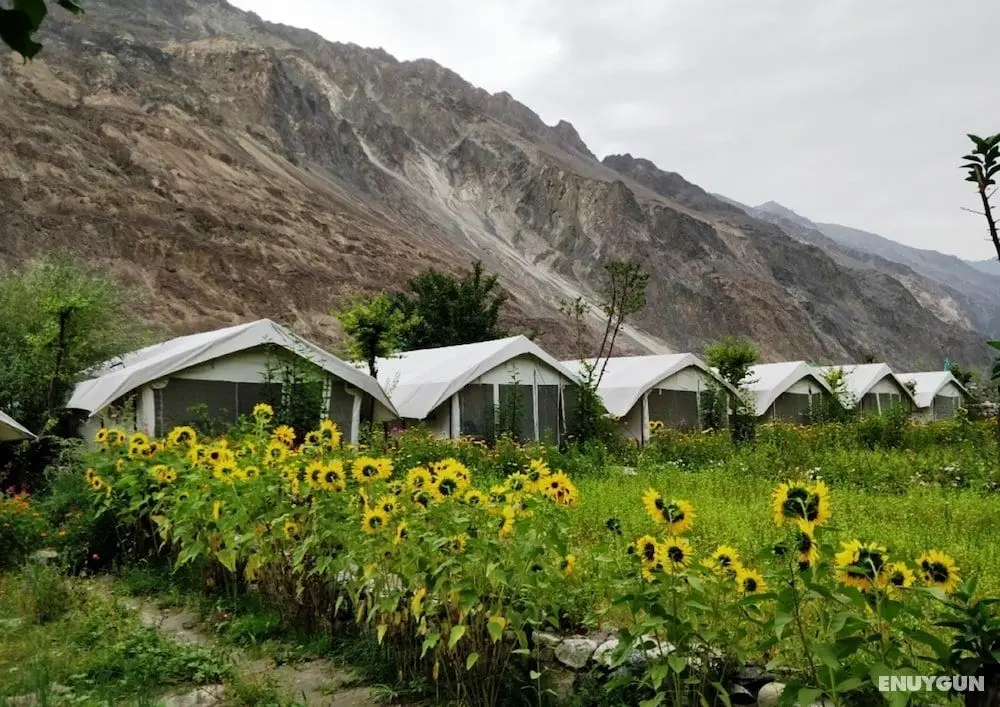TIH Buckwheat Root Camp - Turtuk - Öne Çıkan Resim