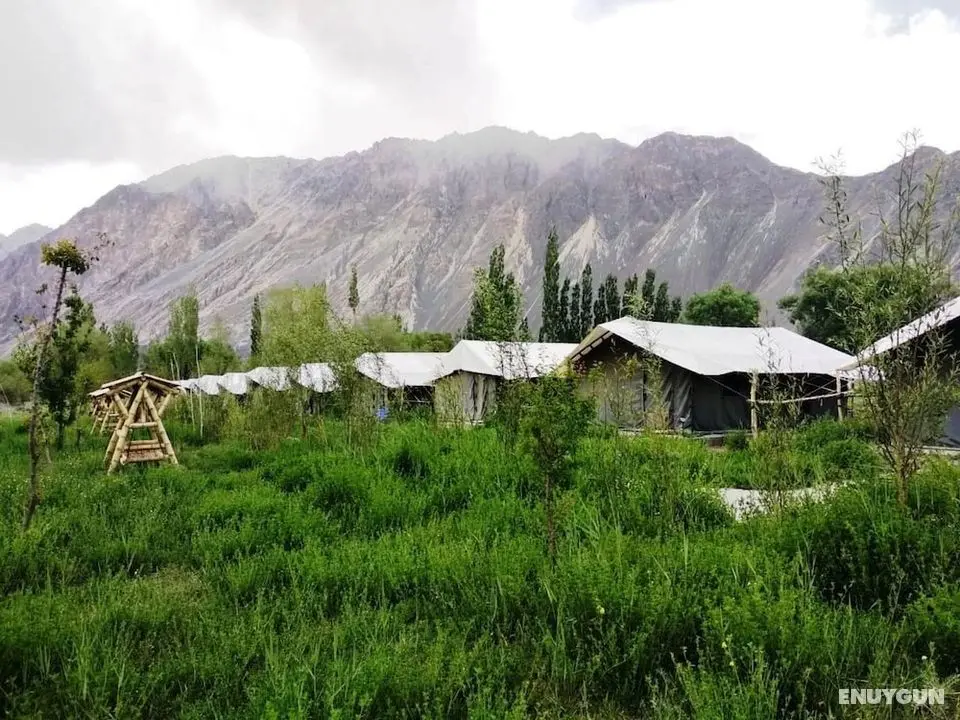 TIH Cold Desert Camp - Öne Çıkan Resim
