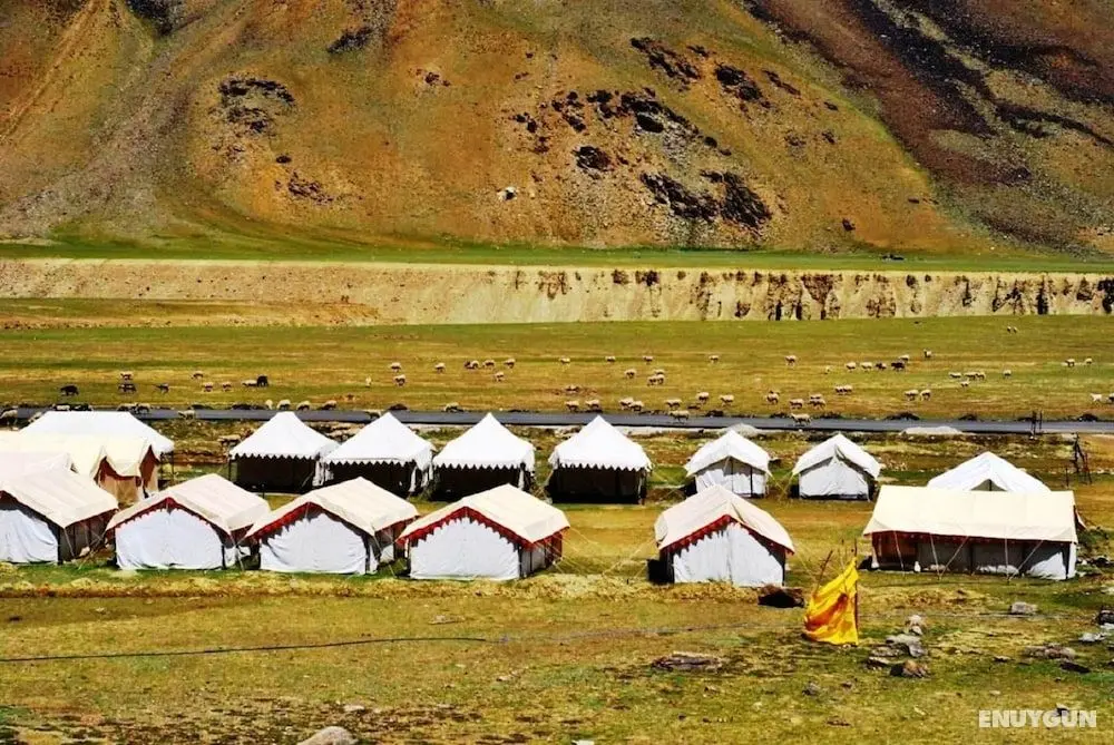 TIH Himalayan Shakia Camp - Sarchu - Öne Çıkan Resim