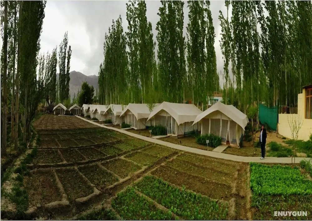 TIH Mystique Meadows Camp - Öne Çıkan Resim