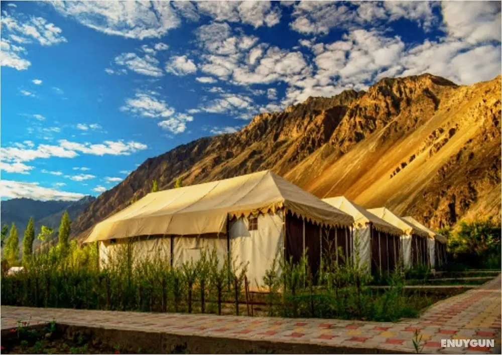 TIH Nubra Escapes Camp - Öne Çıkan Resim